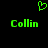 Green pixelated heart symbol above two instances of the name 'Collin' in green pixelated text on a black background.