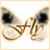 A stylized butterfly-shaped icon with two large black circular eyes and a central cursive 'Fly' text in brown, set against a white background.