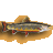 Pixelated fish icon with orange-brown body, dark dorsal stripe, and red accents on fins against gray background.
