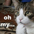A cat with brown and white fur appears in a of four , each showing the same cat with text "oh my..." on a dark background