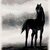 Six horse images arranged in a with a central text overlay reading 'k-k-- cavallo' on a white background