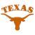 Static orange pixelated icon featuring a longhorn steer silhouette with "TEXAS" text arched above its horns on a white background.