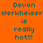 A static image with orange background displaying repeated text "Devon Werkheiser is really hot!!!" in cyan letters, with red rectangular overlays on specific text segments.