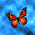 Animals icons for AIM, MSN, MySpace and Yahoo