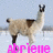 Pixelated static image of a llama-like animal standing on a snowy surface with a light blue sky background, pink text at the bottom.