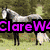 A four- of horse images with overlaid text: a gray horse in a field, a brown horse in motion, a rider on a horse, and a blank