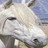 Pixelated static image of a light-colored animal head with dark eyes and nose against a blurred background, likely a dog or similar mammal.