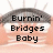 A pixelated image of a bridge with sun rays, featuring text that changes across frames from 'Burnin' Bridges Baby' to 'Burnin' Bridges' and then 'Makin' Wishes'.