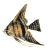Six identical pixelated fish icons arranged in two of three, each with brown and black striped patterns on a white background