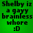 Green background with black pixelated text reading "Shelby iz a gayy brainless whore :D" in four identical