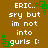 Brown background with white pixelated text reading 'ERIC: sry but im not into gurls :(' and green square-shaped icons in corners.