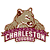 Pixelated brown cat with white facial markings sits atop a maroon banner displaying 'CHARLIE' in white block letters.