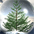 Holiday icons for AIM, MSN, MySpace and Yahoo