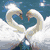 Two white swans form a heart shape with their necks over water, while a heart is drawn in the sand below.