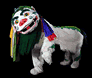 Two side-by-side frames of a traditional Chinese lion dance costume mascot with colorful facial features and flowing ribbons, displayed on black background.