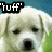 A four- shows a light-colored dog with droopy eyes and a black nose, each containing text in pixelated font