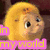 Animated yellow chick with orange beak and black eyes, displayed in a of six with pink text overlays
