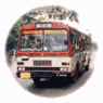 Six circular bus images arranged in a , each showing different bus models with visible route numbers and destination displays