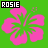 Two side-by-side pixelated images of a pink hibiscus flower with green leaves on contrasting backgrounds, each labeled 'ROSIE' in white text within black rectangles.