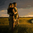 A couple embraces on a beach at sunset with the Eiffel Tower visible in the background.