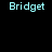 Pixelated text "Bridget" appears in cyan on black background with white rectangular bars shifting positions across frames.