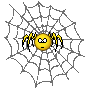 Yellow spider with black legs sits in gray web, displaying nine distinct facial expressions