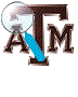 Four variations of a brown 'TAM' logo with a magnifying glass and blue cursor, each showing different positions of the magnifying glass over the letters.