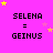 Pixelated text on bright pink background with yellow and pink stars, showing 'SELENA = GEINUS' repeated across with star positions changing