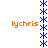 A vertical blue star pattern with orange text 'lychris' on both sides against a white background.