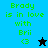Green pixelated text reads "Brady is in love with Brii <3" on blue and black backgrounds, accompanied by a star icon.