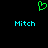 Green pixelated heart symbol above two instances of the name 'Mitch' in cyan text on a black background.