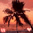 Animated sequence of palm tree silhouettes against a sunset sky with text and heart symbols changing across frames.
