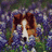 Two dogs appear in a split-screen view: one brown and white dog on purple flowers, another black and white dog against blue background with yellow accents.