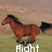 Brown horse with black mane and tail running on grassy field, white text below reads 'Right', 'Speed', 'Freedom' across three