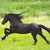 A black horse gallops across a green grassy field in two showing motion progression