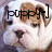 Pixelated image of a dog's face with brown and white fur, black nose, dark eyes, and stylized text above its head.