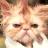 Pixelated close-up of a light-colored cat's face with closed eyes and visible fur texture.