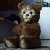 A pixelated brown teddy bear mascot sits against a white and dark background with green text reading "Original Icons .com" on the right side of the image.