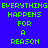 Green pixelated text on blue background reads "EVERYTHING EVERYTHING HAPPENS FOR A REASON" with red gradient overlay on lower-left quadrant.