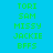 A static image displays a of green text labels on a cyan background with pink highlight rectangles, showing names like TORI, SAM, MISSY, JACKIE, and BFFS