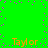 Green background with scattered pink dots and four orange "Taylor" text instances arranged in a pattern