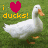 duck images with 'i ❤️ ducks!' text, each duck in a walking pose on grass