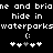 Pixelated text and symbols on black background with two identical animated sequences showing 'ne and briane and bria' 'hide in' 'waterparkswaterparks' and '(:' with four white plus signs and one gray plus sign.