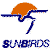 Pixelated orange helmet on blue stylized figure with extended arm, below blue text reading 'SUMMERS' on white background