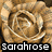Pixelated four-quadrant image with rose, text, and musical symbols on colored backgrounds.
