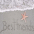 A static icon with a gray background, white wave-like line at the top, and faint text reading 'Best Friends' below a small orange star.