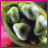 A 2x2 contact sheet of four animated frames from a Fiona Apple promotional icon, featuring close-up fruit, text blocks, and a person's face.