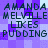 Pixelated text displays 'AMANDA MELVILLE LIKES PUDDING' in dark green on a purple and white checkered background, repeated twice in a