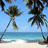 Beach scene with palm trees, blue sky, and ocean waves on a sandy shore.