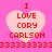 Pixelated pink background with four identical heart-shaped icons containing red text "I LOVE CORY CARLSON" and a repeating pattern of red symbols below.